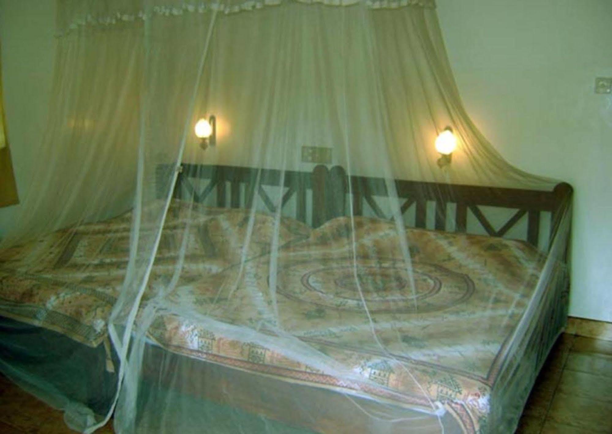 Palm Garden Home Stay Deiyannewela Εξωτερικό φωτογραφία